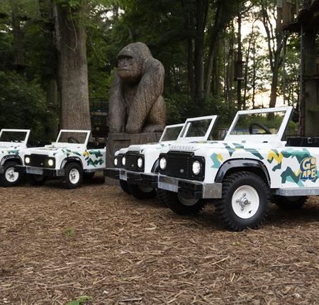 Mini Land Rovers