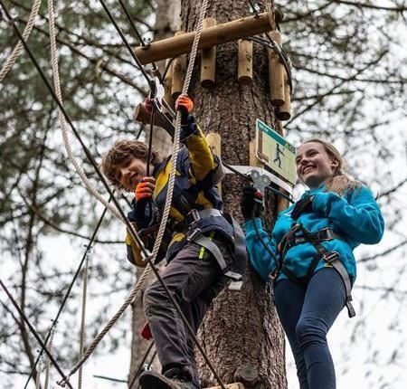 Treetop Adventure Plus