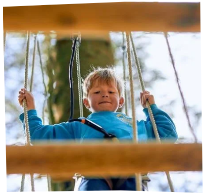 Treetop Adventure