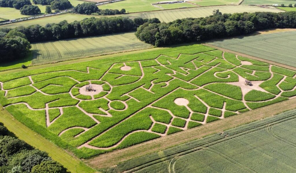 Notts Maze